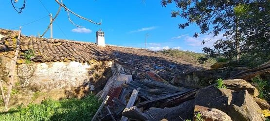 5 Bedroom Farmhouse For Sale in Salir