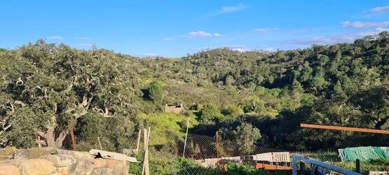 5 Bedroom Farmhouse For Sale in Salir
