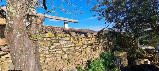Farmhouse avec 5 chambres à vendre à Salir