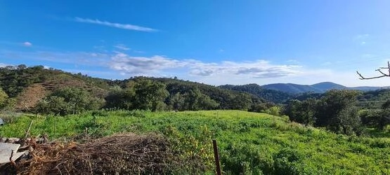 Farmhouse avec 5 chambres à vendre à Salir