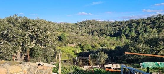 Farmhouse avec 5 chambres à vendre à Salir